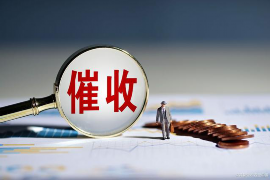 郓城企业清欠服务