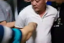 郓城融资清欠服务